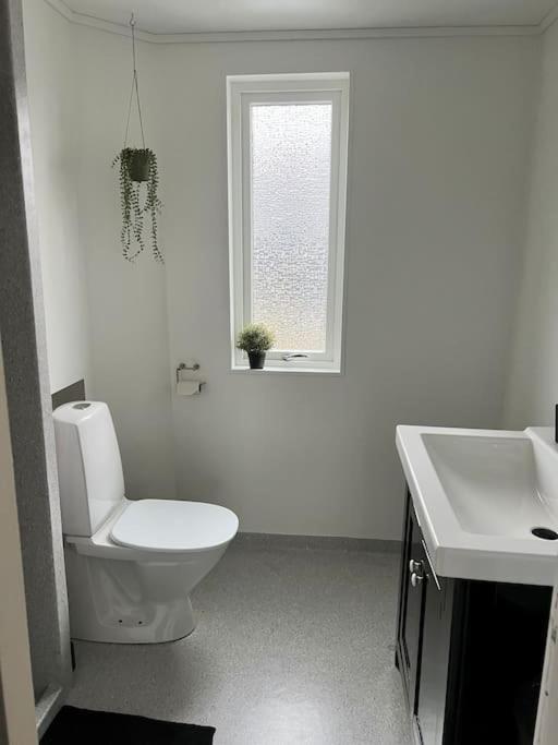 Apartment In The Center Of Torshavn, Free Parking. Exteriér fotografie